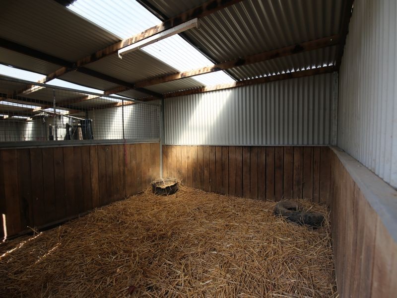 361 Baddaginnie – Benalla Rd, Benalla VIC 3672