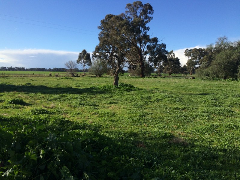 364 Harcourt Road, Devenish, Benalla VIC 3672