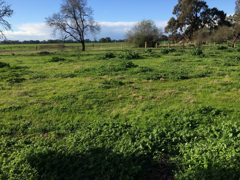 364 Harcourt Road, Devenish, Benalla VIC 3672