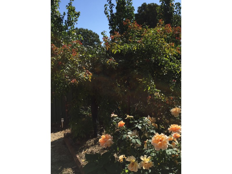 35 Charles Street, Benalla VIC 3672