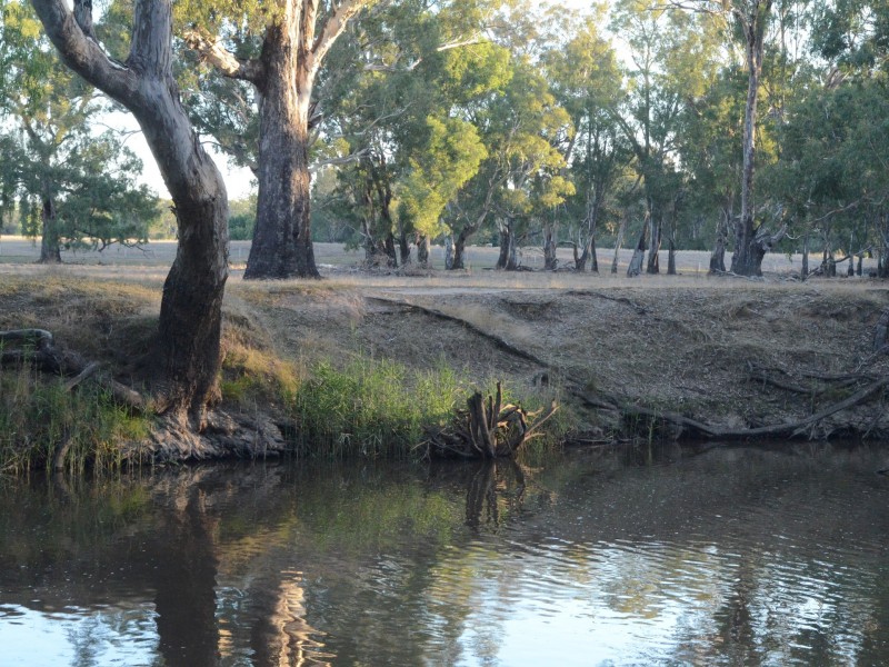 33 Goulding Close, Benalla VIC 3672