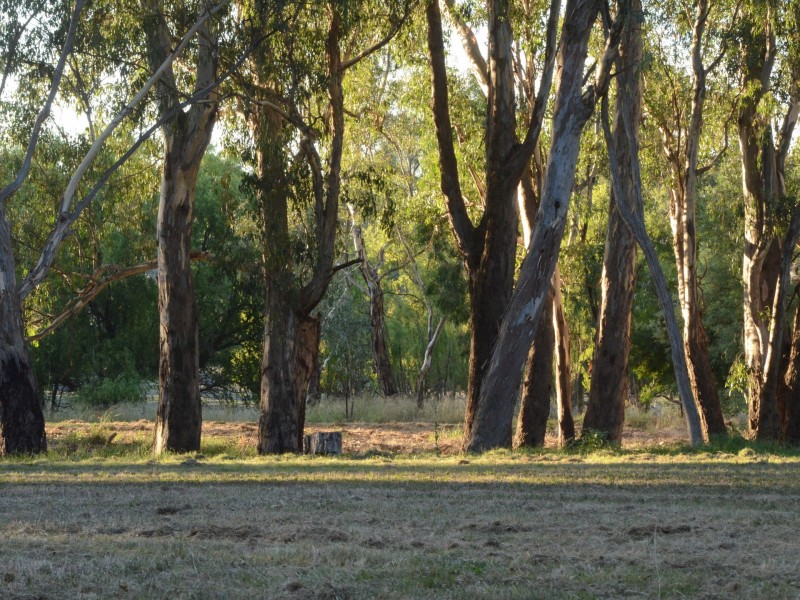 33 Goulding Close, Benalla VIC 3672