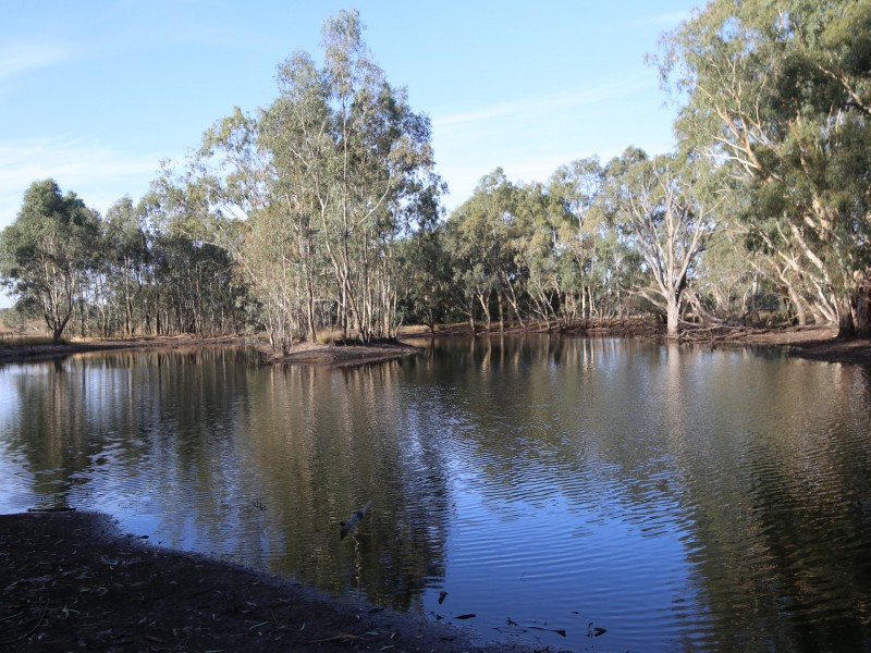 928 Mansfield Road, Benalla VIC 3672