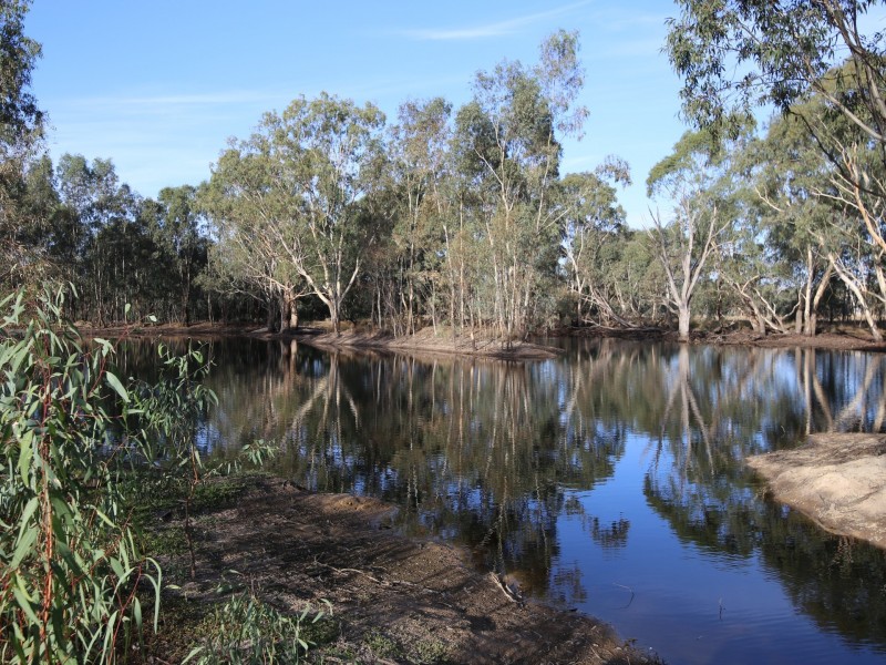 928 Mansfield Road, Benalla VIC 3672