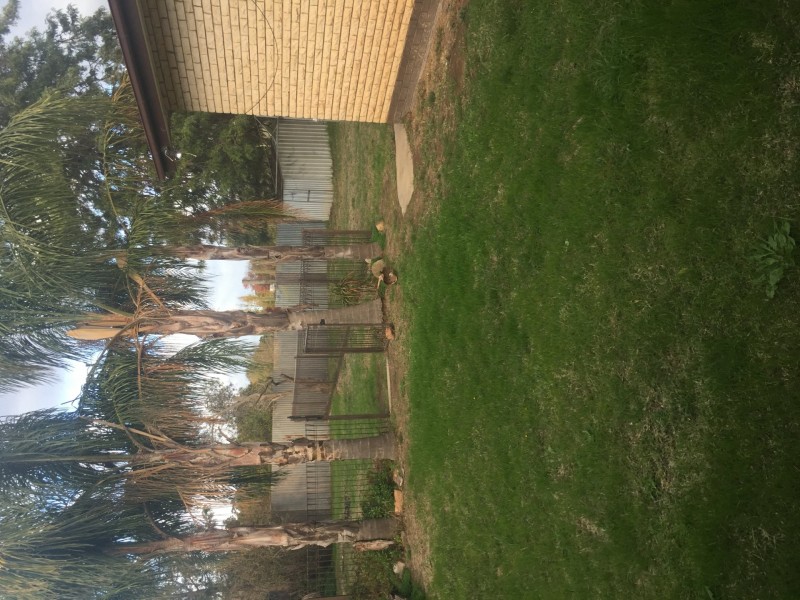 42 Cook Street, Benalla VIC 3672