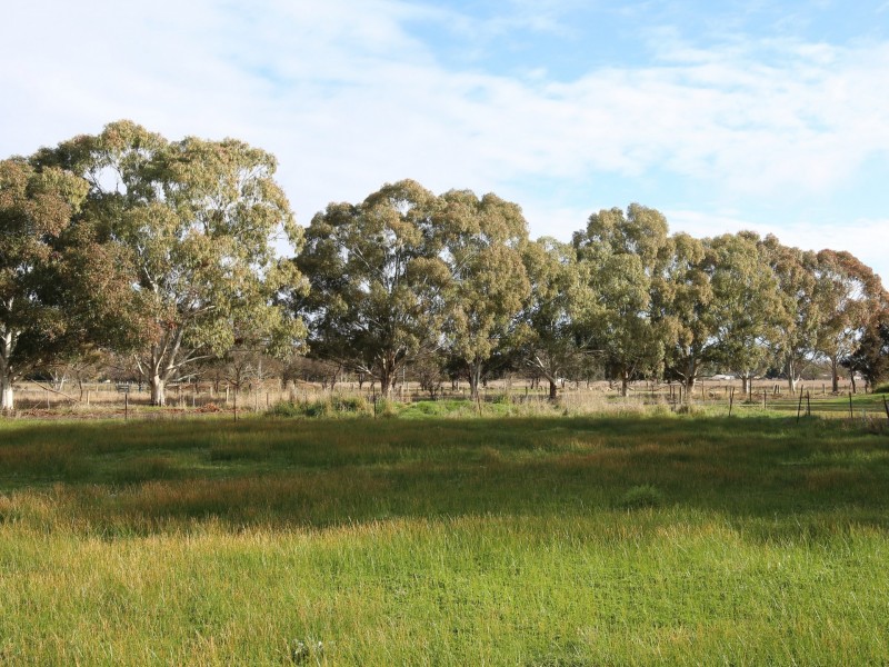 151A/B Grant Dr, Benalla VIC 3672