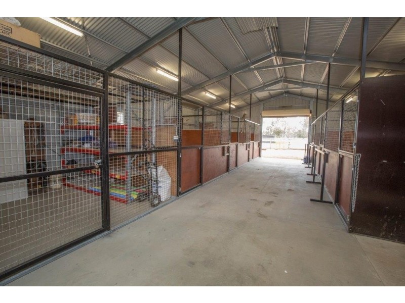 309 Steel Road, Benalla VIC 3672