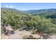 389 Davies Road, Warrenbayne VIC 3670