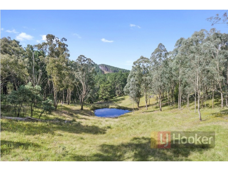 389 Davies Road, Warrenbayne VIC 3670