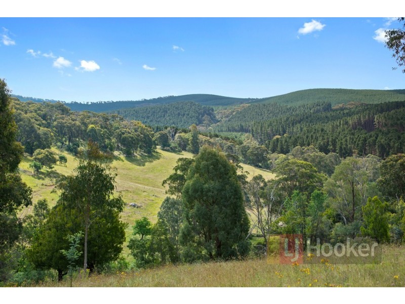 389 Davies Road, Warrenbayne VIC 3670