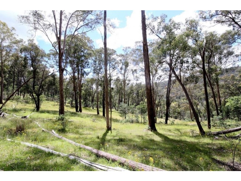 389 Davies Road, Warrenbayne VIC 3670