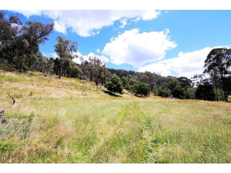 389 Davies Road, Warrenbayne VIC 3670