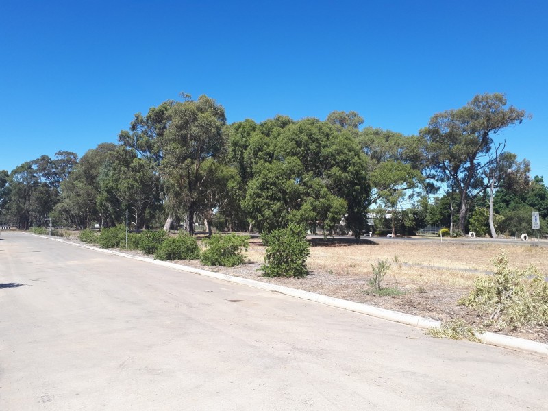42 Jameson Court Subdivision, Benalla VIC 3672