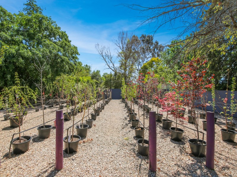 139 Grant Drive, Benalla VIC 3672