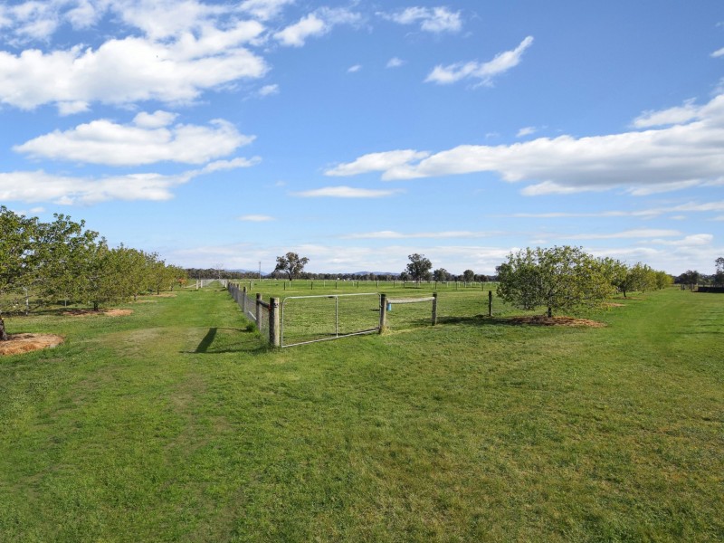 561 Baddaginnie – Benalla Road, Baddaginnie VIC 3670