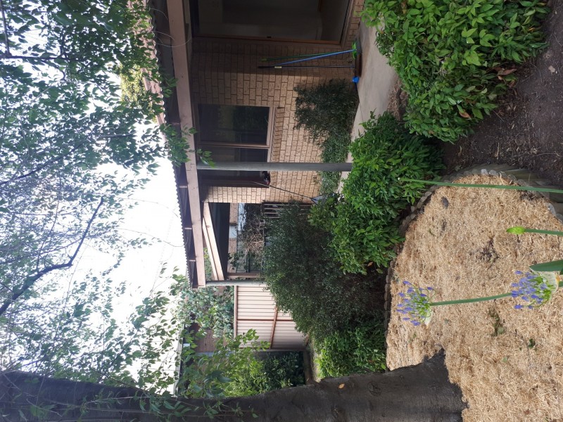 6 Goodenia Drive, Benalla VIC 3672