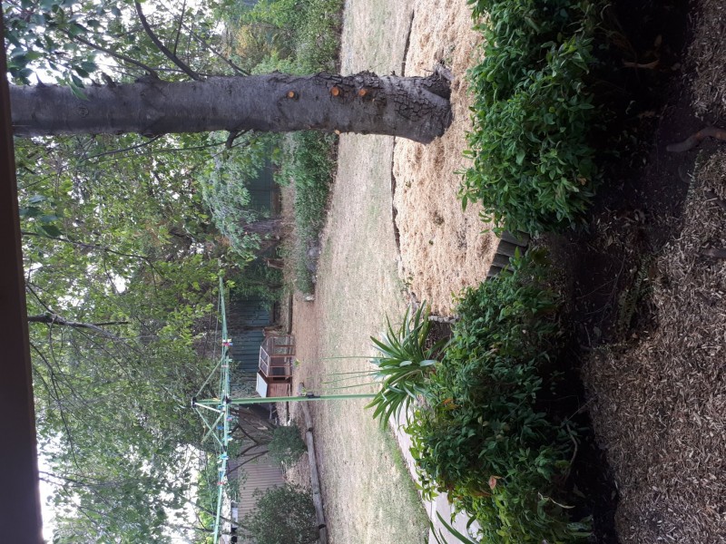 6 Goodenia Drive, Benalla VIC 3672