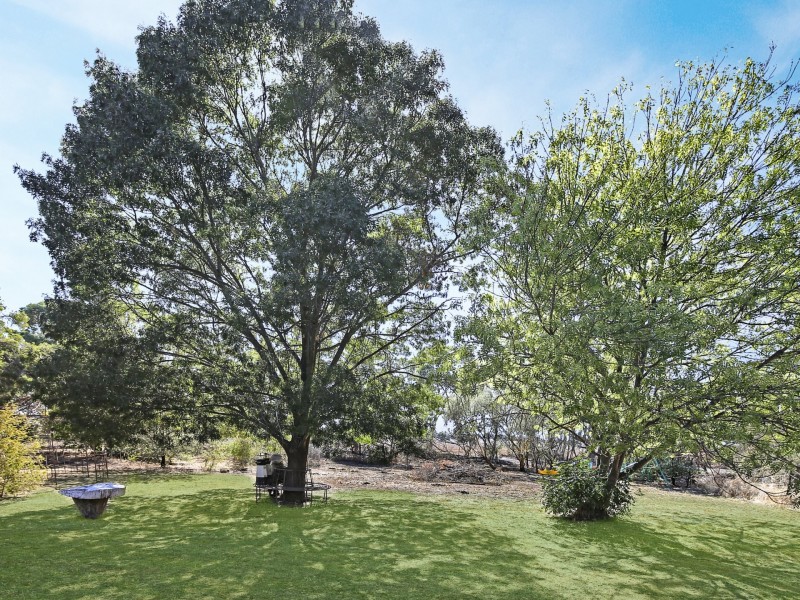 1371 Bungeet Road, Bungeet VIC 3726