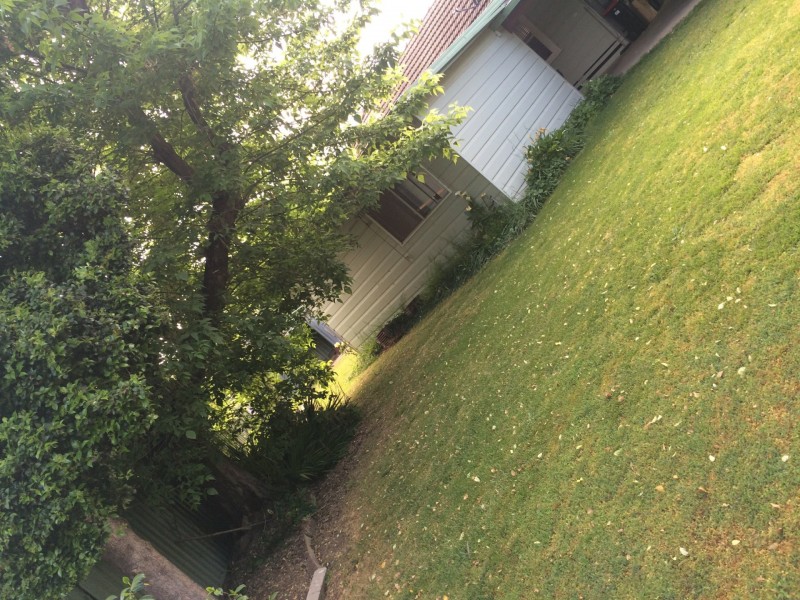 12 Dunlop Place, Benalla VIC 3672