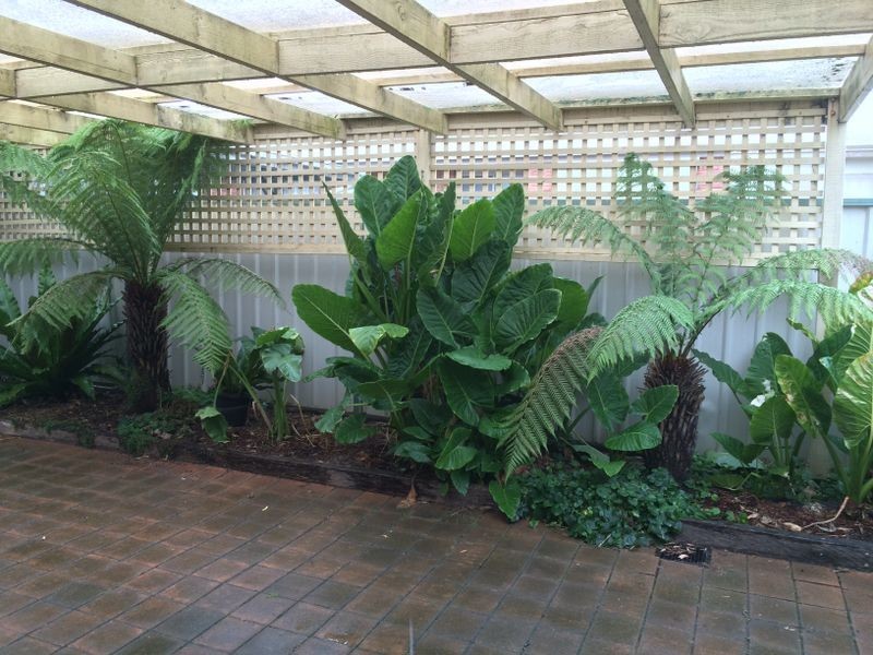 5 Stacey Street, Benalla VIC 3672