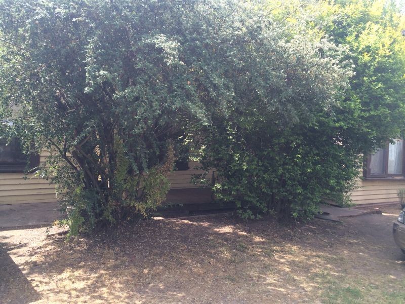 1/24 Bridge Street, Benalla VIC 3672