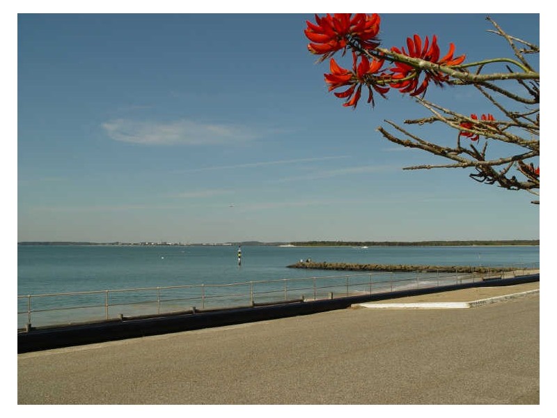 1/318 The Grand Parade, Sans Souci NSW 2219