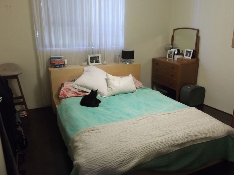 11/18a Ewart Street, Marrickville NSW 2204