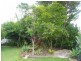 111 Yamba Road, Yamba NSW 2464