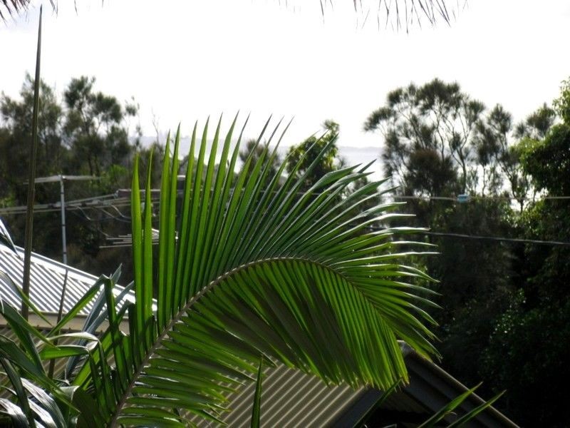 2/17 The Crescent, Angourie NSW 2464