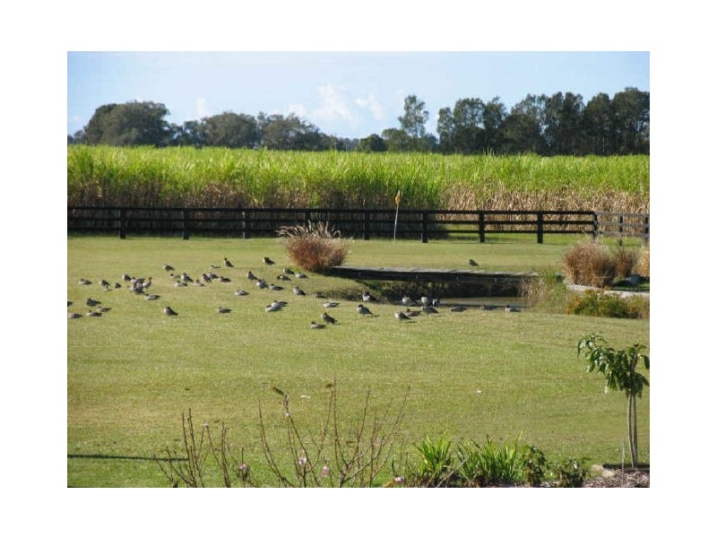 Yamba NSW 2464