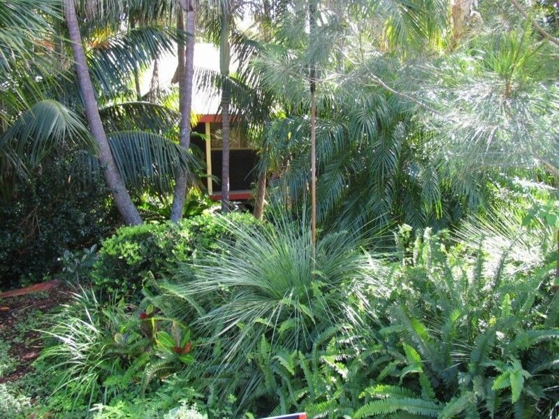 13 Pegus Drive, Wooloweyah NSW 2464