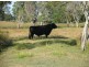 320 School Road, Yamba NSW 2464