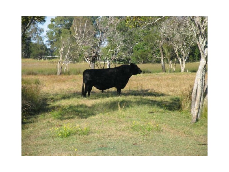 320 School Road, Yamba NSW 2464