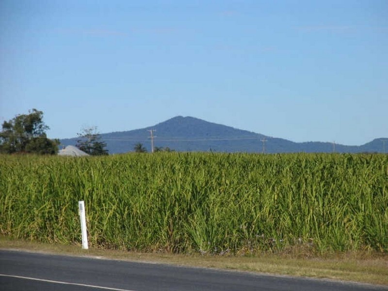 277 SOUTH BANK ROAD, Yamba NSW 2464