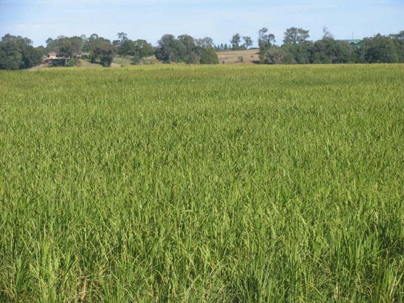 277 SOUTH BANK ROAD, Yamba NSW 2464