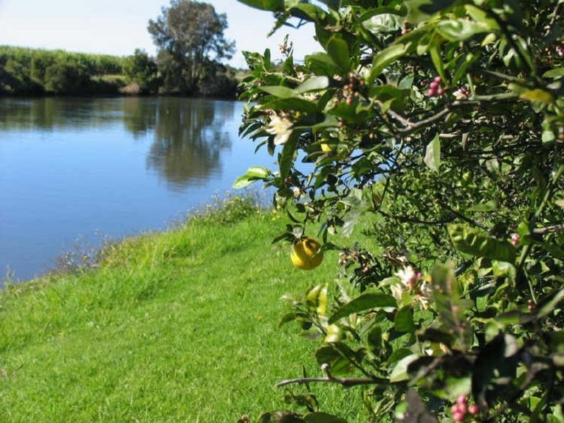 277 SOUTH BANK ROAD, Yamba NSW 2464