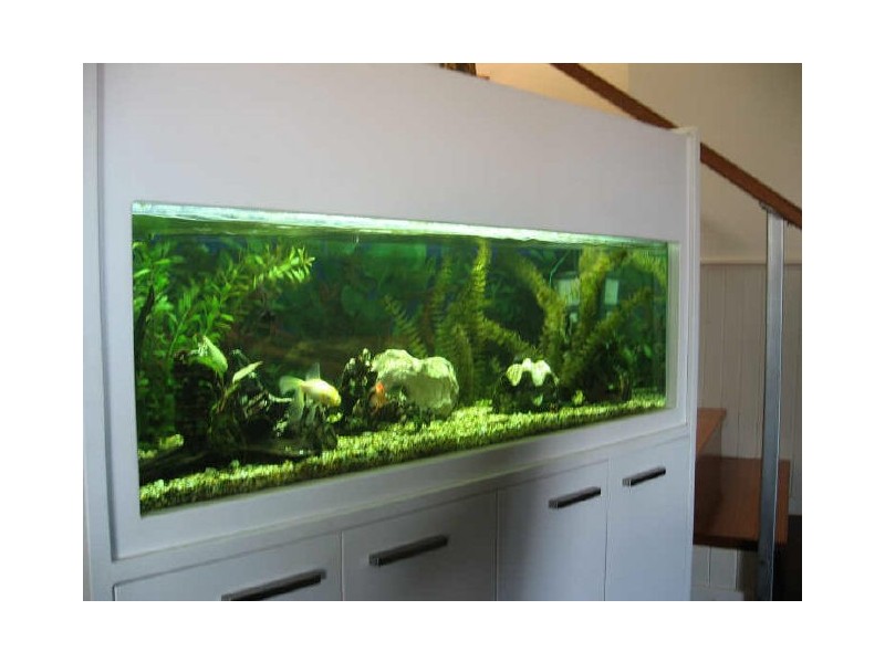 11 UKI STREET, Yamba NSW 2464