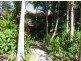 17 Young Street, Wooloweyah NSW 2464