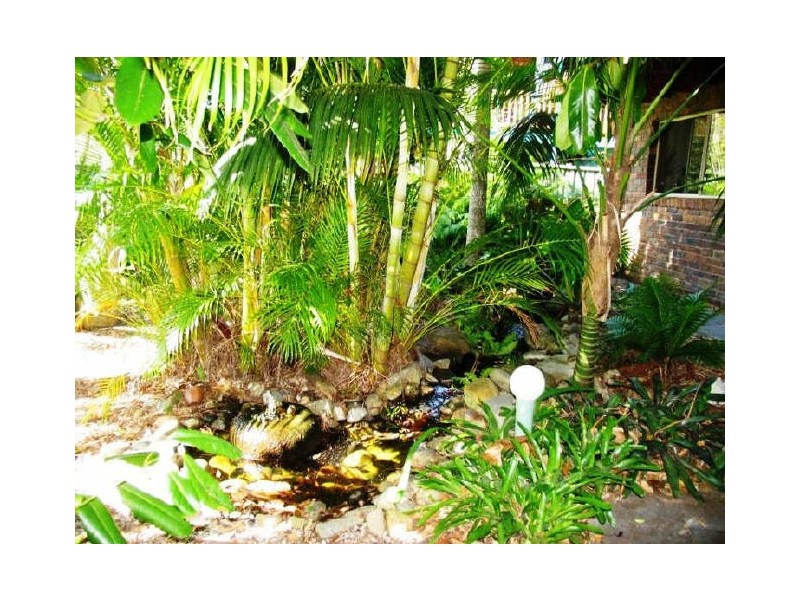 17 Young Street, Wooloweyah NSW 2464