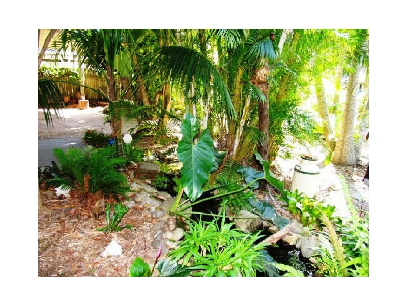 17 Young Street, Wooloweyah NSW 2464