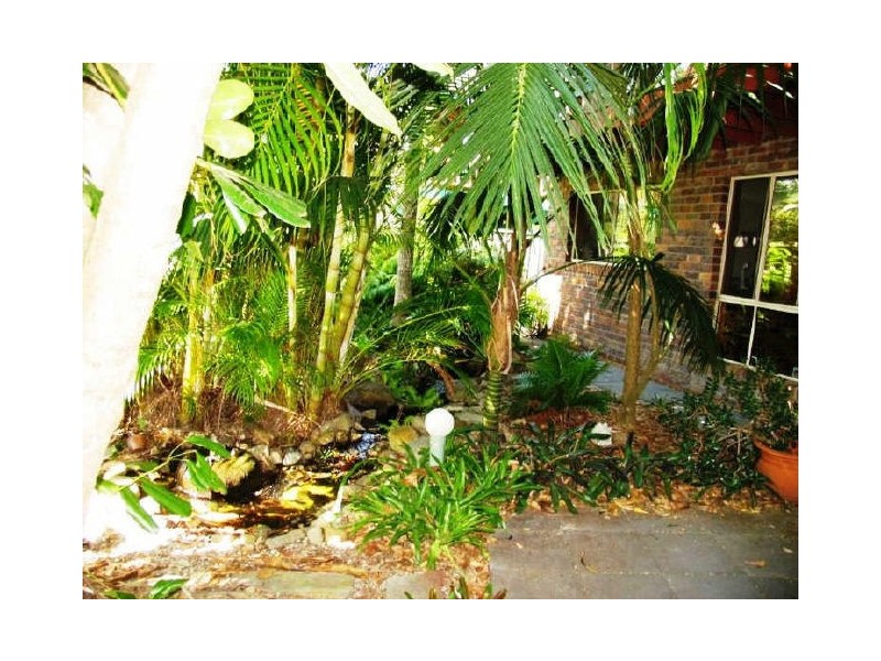 17 Young Street, Wooloweyah NSW 2464