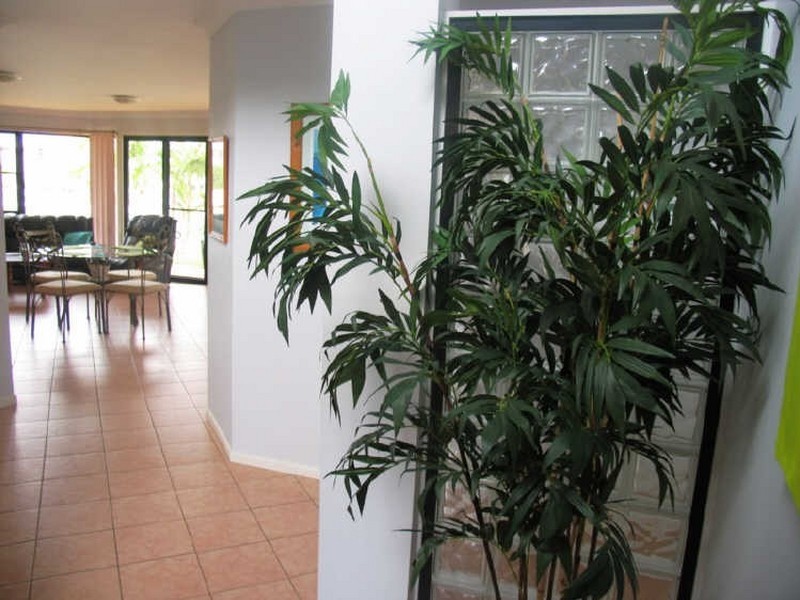 12 Nabilla Court, Yamba NSW 2464