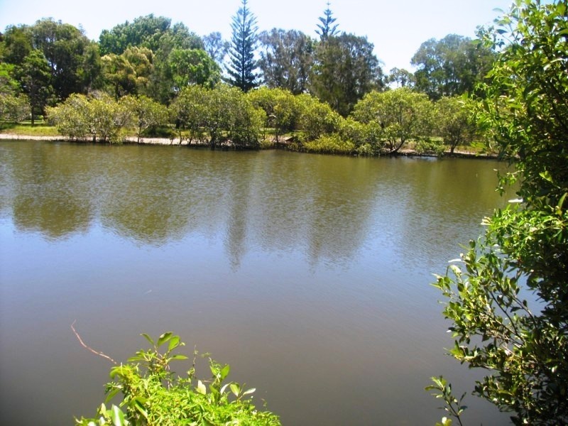 47 WILLIAM AVENUE, Yamba NSW 2464
