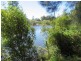 47 WILLIAM AVENUE, Yamba NSW 2464