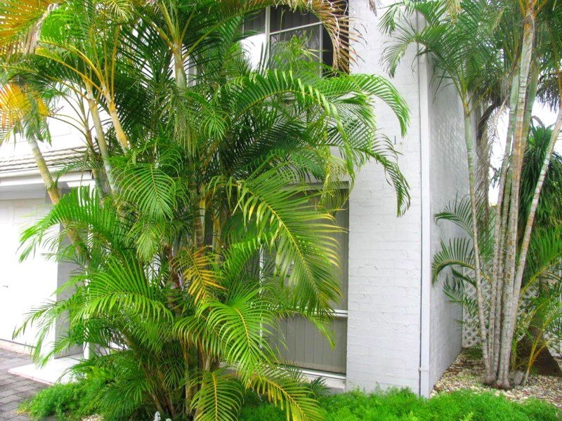 4/27 Beach Street, Yamba NSW 2464