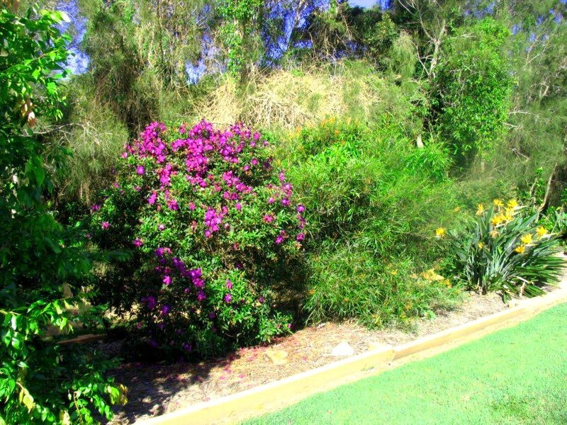 9 Orion Drive, Yamba NSW 2464