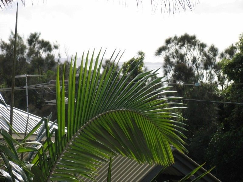 2/17 The Crescent, Angourie NSW 2464