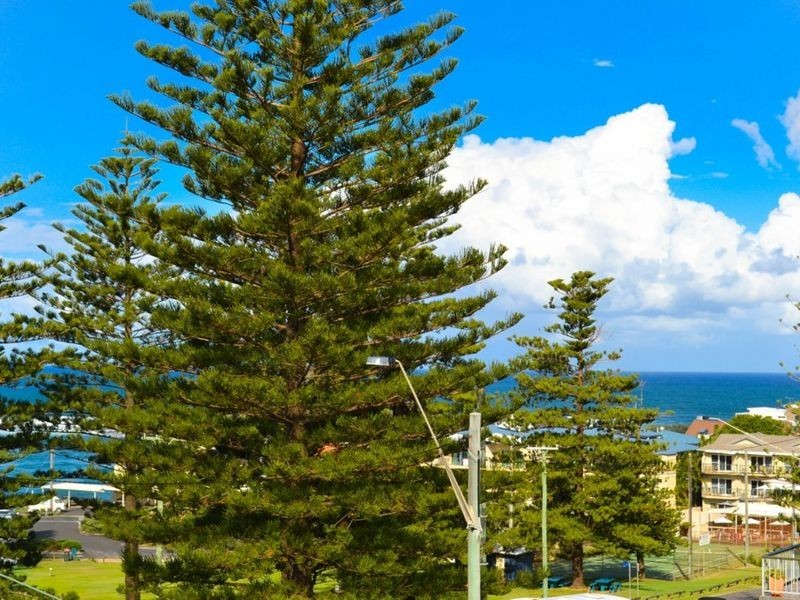 3/ 21 Clarence Street, Yamba NSW 2464