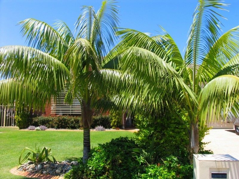 35 Oceania Court, Yamba NSW 2464