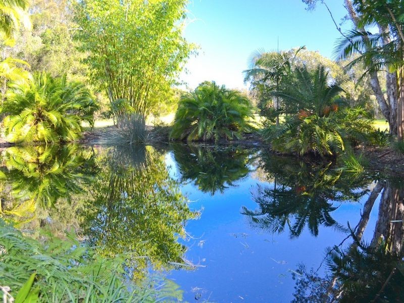 181 Carrs Drive, Yamba NSW 2464